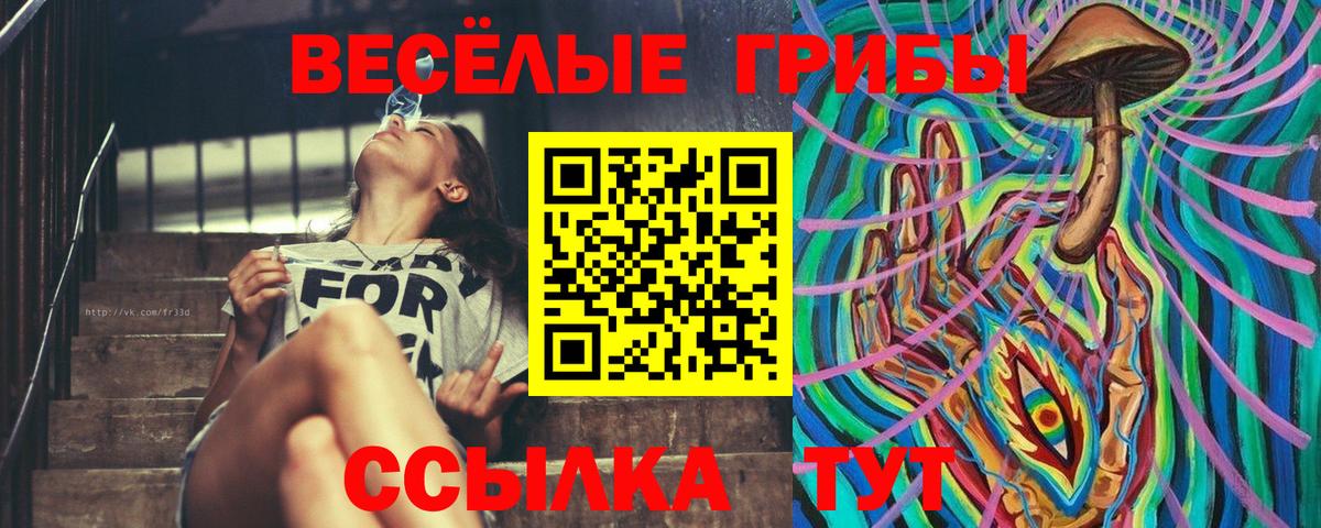 Псилоцибиновые грибы Magic Shrooms Обнинск