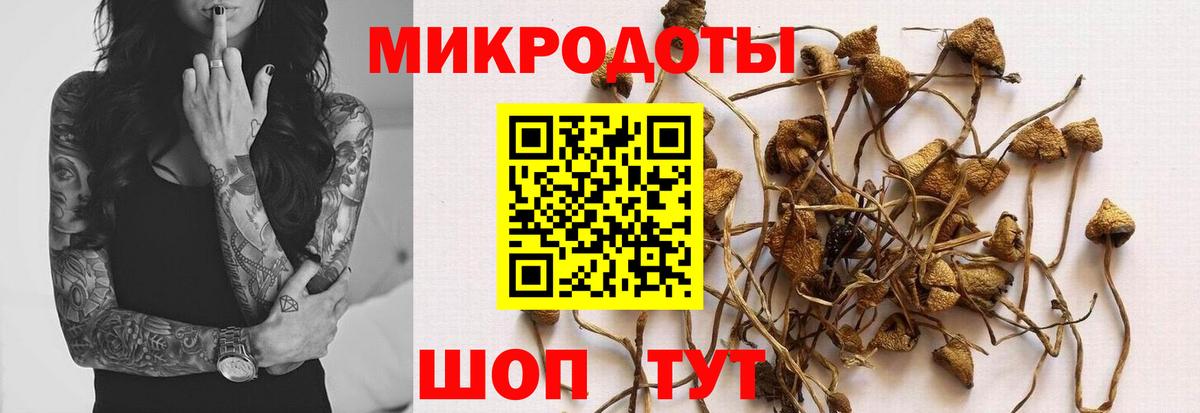 Галлюциногенные грибы Psilocybe  Вход с VPN  Обнинск 